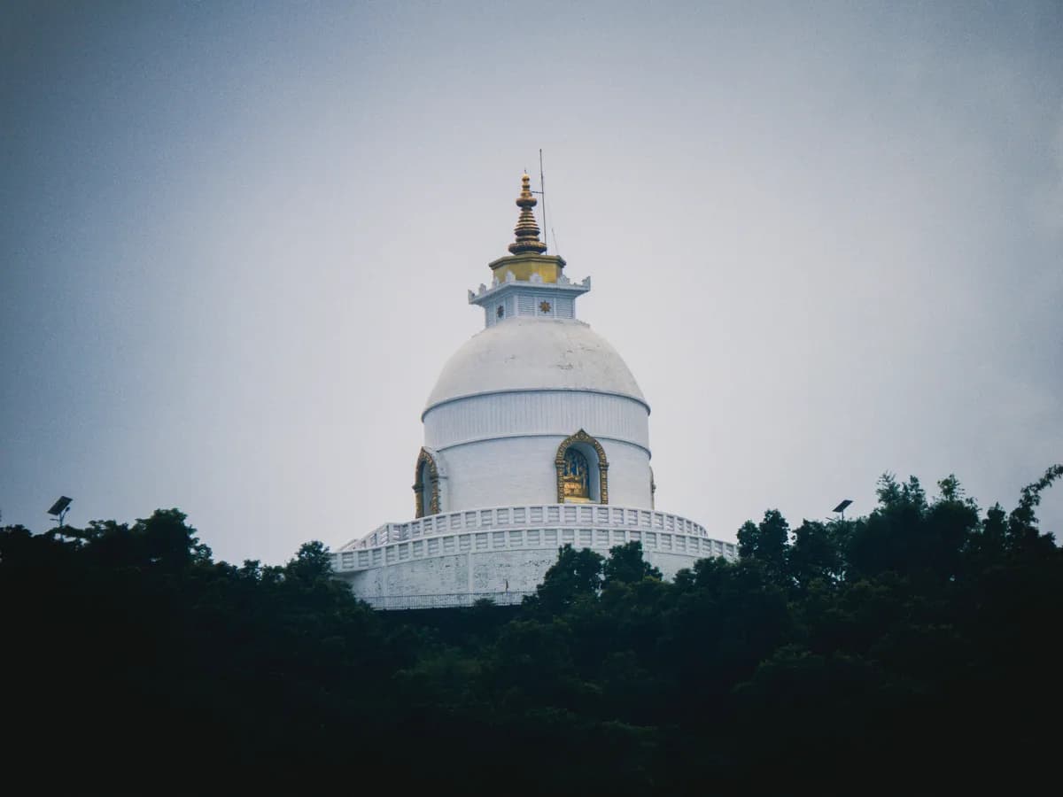 A stupa above the treeline at dusk, photographed by Samir Gautam